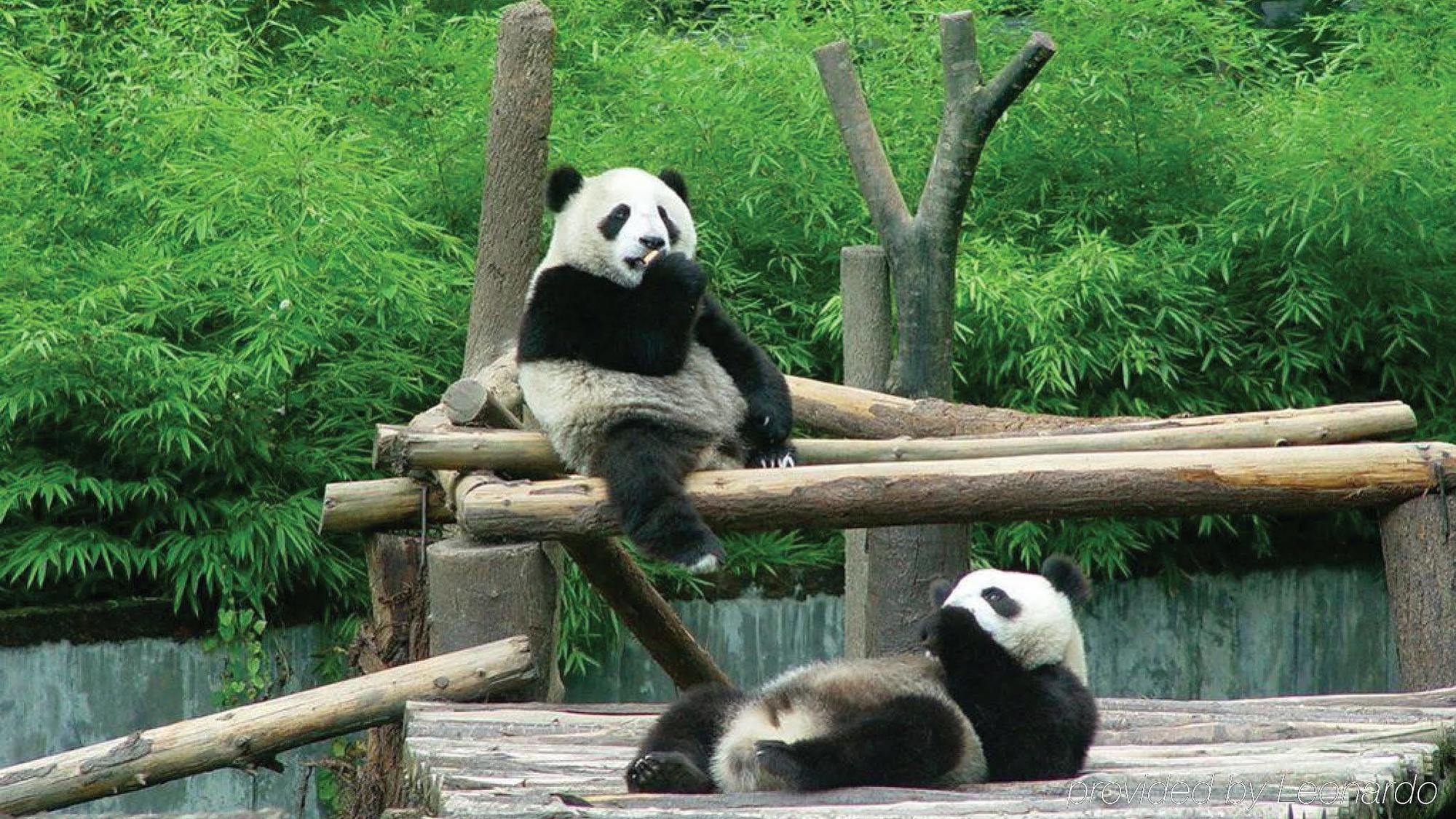 Holiday Inn Chengdu Xindu By Ihg Zewnętrze zdjęcie